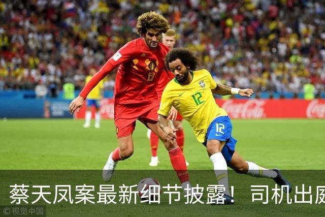 蔡天凤案最新细节披露！司机出庭，案发前被停职，由邝港杰顶替