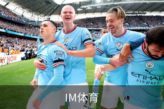 IM体育公司简介